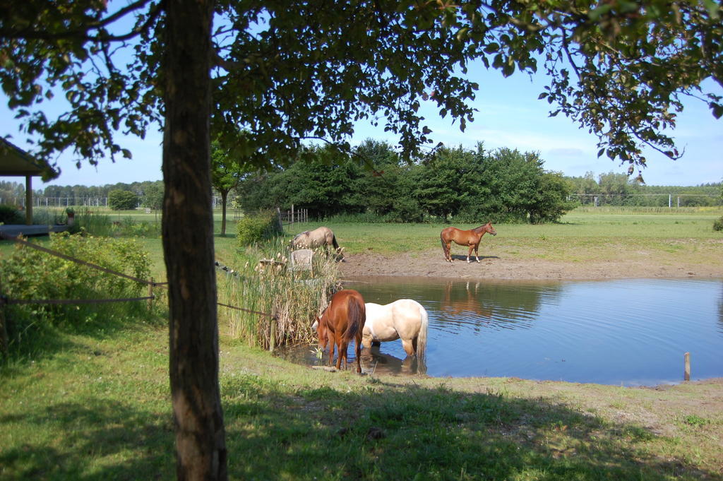 Lelymare Logies Apartment Lelystad Luaran gambar